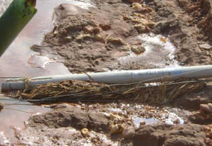 888电子游戏(中国集团)有限公司官网