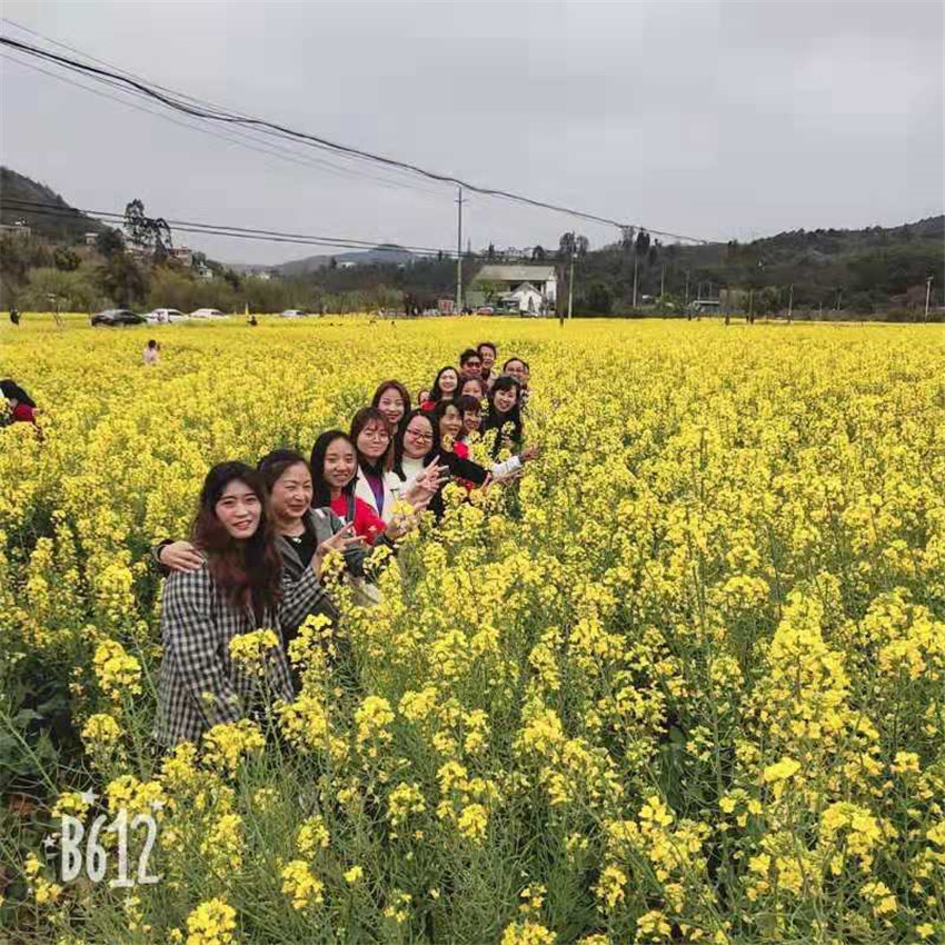 888电子游戏(中国集团)有限公司官网