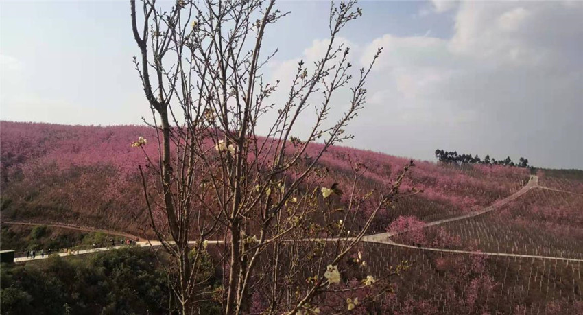 888电子游戏(中国集团)有限公司官网