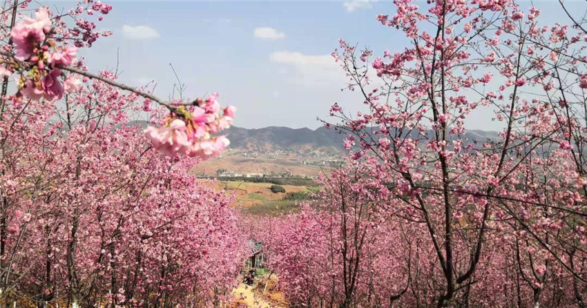 888电子游戏(中国集团)有限公司官网